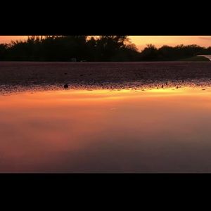 Meet your Posher, Kylie